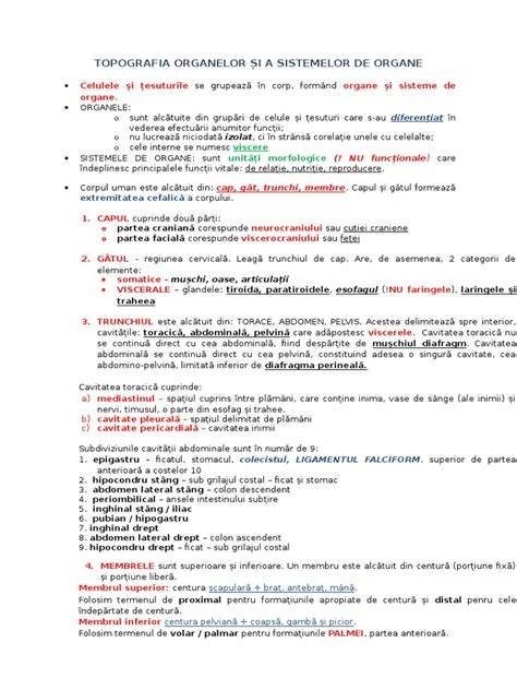 Infografic: compararea corionului ca parte a stromelor organelor și rolurile sale