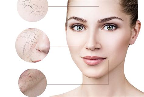 Schema interactiva: cum actioneaza ureea asupra pielii si barierei cutanate