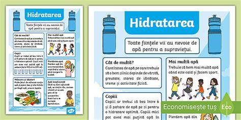 Infografic: highway map al rutinei de hidratare pentru sarcină