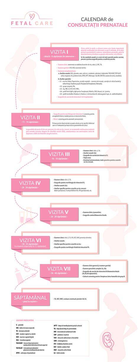 Infografic: etapele îngrijirii prenatale, de la confirmarea sarcinii până la naștere