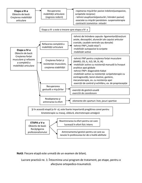 Infografic: descriere generală a simptomelor post-avort și etapele de recuperare