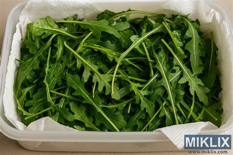 Imagine cu rucola în salate