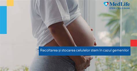 Schema de stocare a celulelor stem: carantină temporară, stocare definitivă, carantină permanentă
