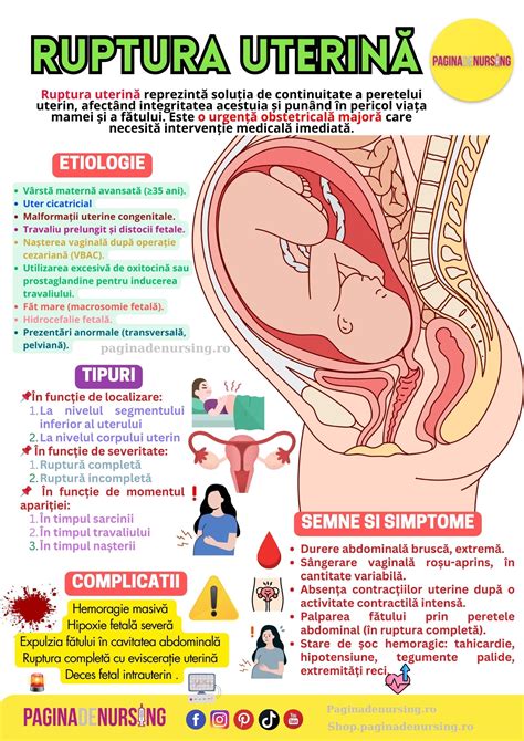 Infografic: etapele lehuziei, involuția uterină, îngrijiri perineale, alăptare