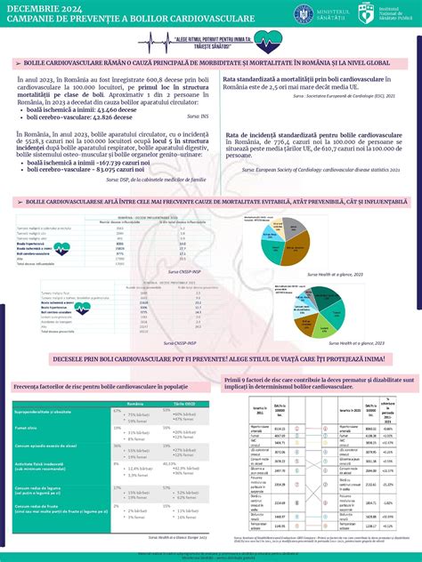 Infografic cu etapele diagnostice ale epilepsiei si factorii de risc