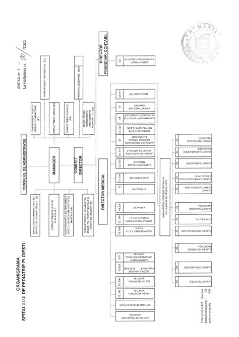 Infografic: Organigrama operațională a Gardelor Pediatrie