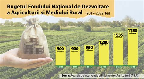 Infografic: traseu decizional în dosarele penale de corupție și impactul pe comunitate