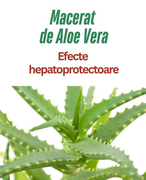 Efectele extractelor de plante asupra pielii