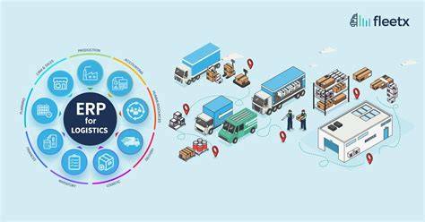 Infografica flux vânzări scutece prin canale multiple: magazine, standuri, online, logistică și analiză ERP