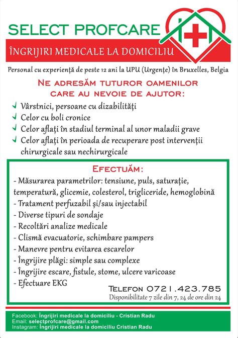 Infografic: structura serviciilor de îngrijire la domiciliu, dispozitive medicale, scutece