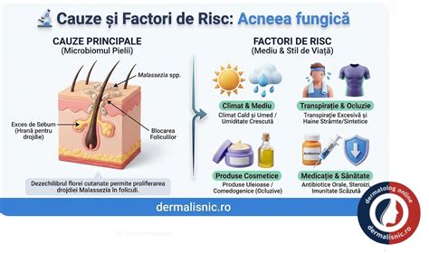 Infografic - ciclicitatea infecțiilor fungice la sugari: factori de risc, simptome, diagnostic și tratament