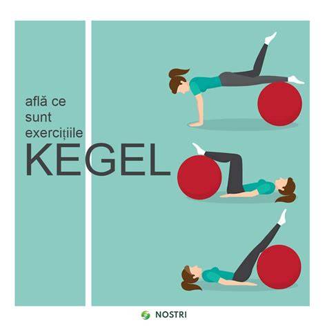 Diagramă mușchi pelvieni și exerciții Kegel