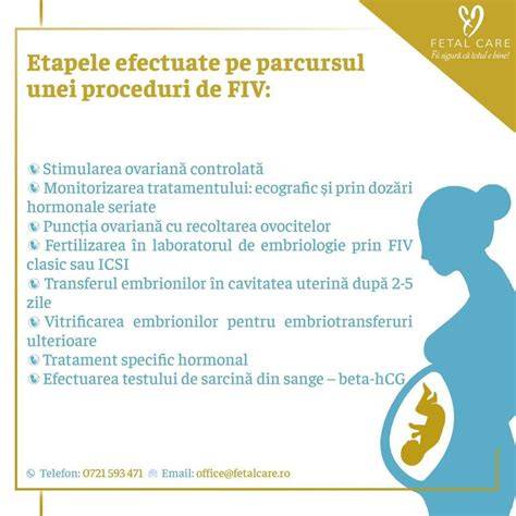 Infografic: Etapele fertilizării in vitro (FIV), monitorizare, și transfer embrionar