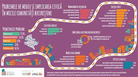 Infografic: Distribuţie pieţe româneşti pentru cărucioare vs. competitori