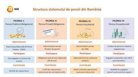 Infografic: structura centurii postnatale, tipuri si zone de sustinere