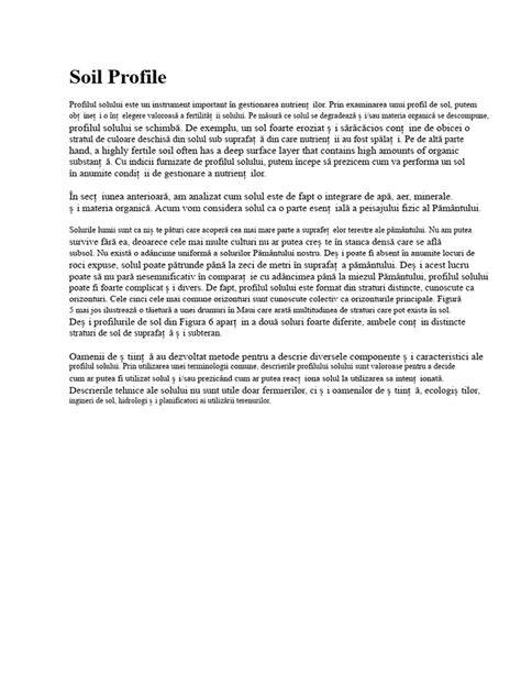 Imaginea 2: Stratificarea cernoziomului în profilul solului