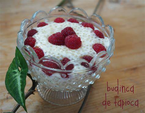 budincă de tapioca cu zmeură