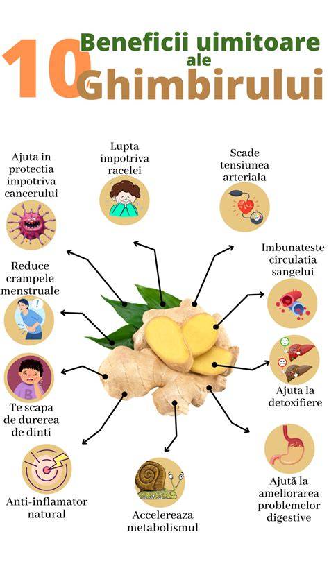 Infografic: căile fiziologice ale greții și acțiunea ghimbirului