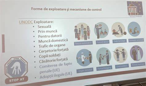 Infografic: Schiță a rețelei Centrului Maternal în județe și fluxul de servicii pentru familii în dificultate