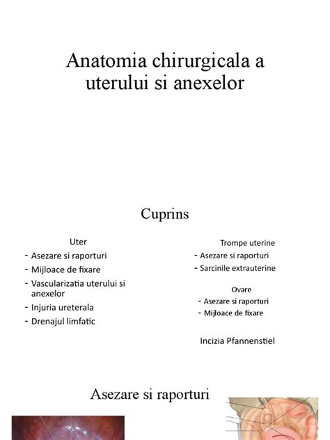 Anatomia uterului în anteversie și retroversie