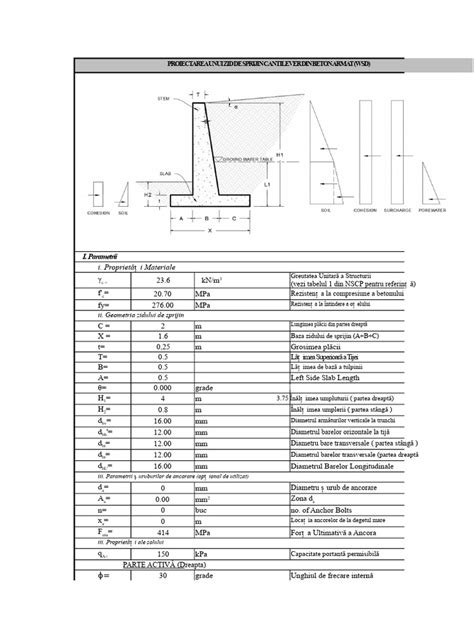 Infografic: Structura and funcționarea Centrelor de Sprijin din Piatra-Neamț