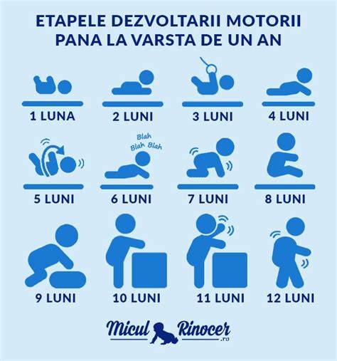 Imagine infografic despre etapele dezvoltarii motorii si rolul jucariilor Chicco