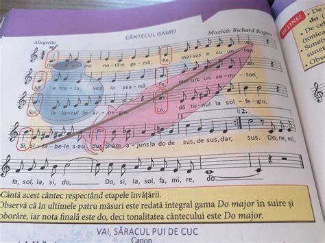 Diagramă a gamei Chicco: de la plusuri la STEM