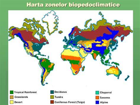 Infografic privind distribuția zonelor cu soluri fertile în lume