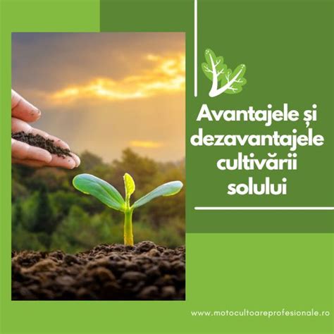 Grafice despre impactul materiei organice asupra fertilității solului