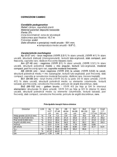Diagramă simplă a profilului cernoziom cambic