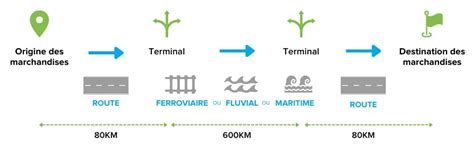 Schema responsabilităților managerului de transport