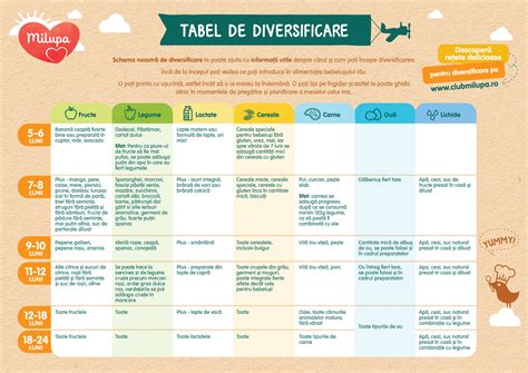 Infografic despre diversificarea alimentației