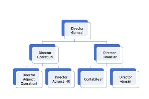 Organigrama unei companii de constructii cu rolul sefului de santier