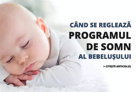 Infografic: regim zilnic de îngrijire a bebelușului (hrănire, baie, somn, schimburi de scutec)