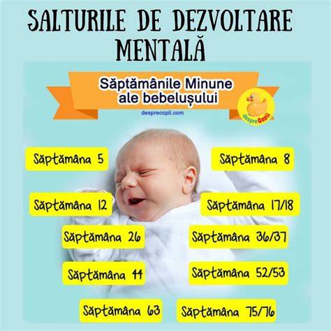 Infografic - evoluția primelor luni ale bebelușului