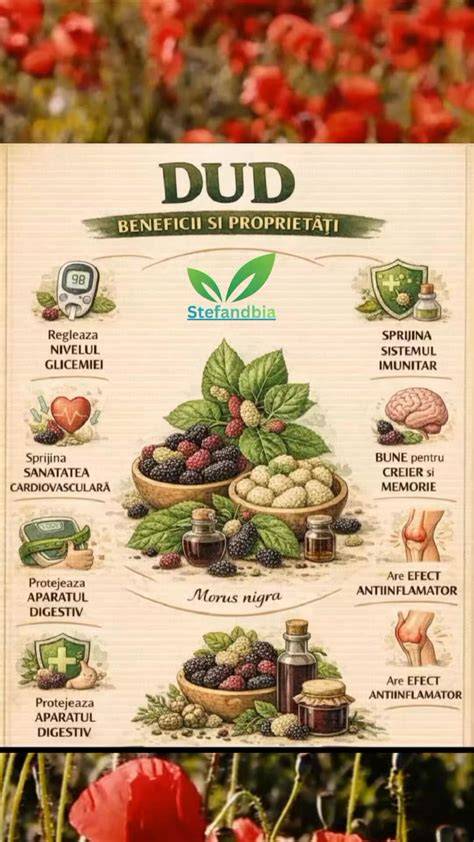 Grafice nutritive ale mazărei (vitamine, fibre, fier)