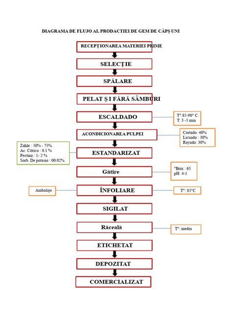 Diagrama procesului de pregătire a ciorbei pentru bebeluși