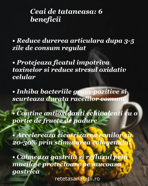 Infografic - plante de ceai permise în sarcină
