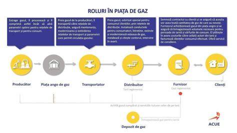 Infografic - Rotea colacilor si roluri regionale