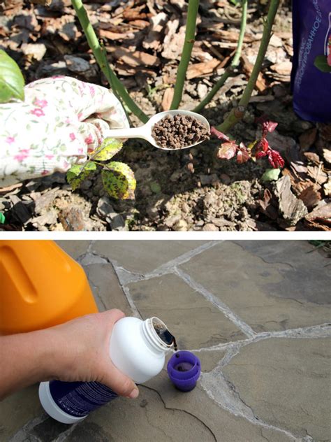 Schema de pregătire a substratului de beton