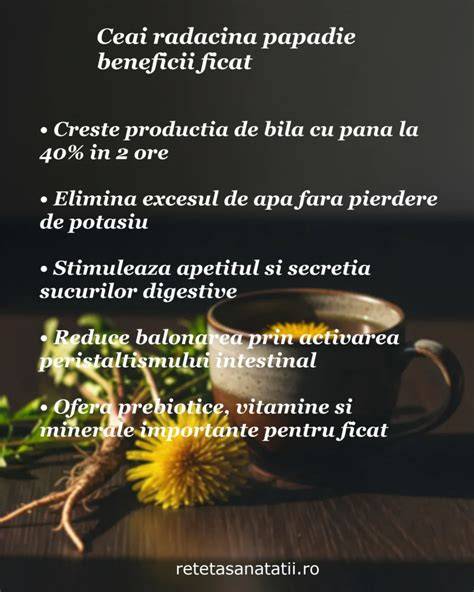 Infografic: Componentele-cheie ale ceaiului de trandafir (antioxidanți, vitamine, flavonoide, taninuri)