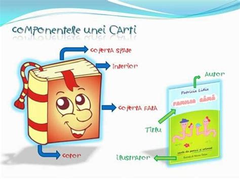 Structura unei Cărți Funciare