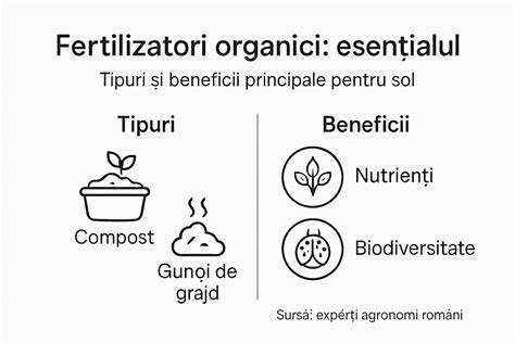 Infografic: Compoziția solului și factorii ce influențează fertilitatea