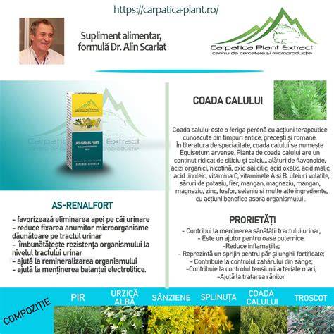 Schema compuși activi ai chimenului: flavonoide, timoqinona, uleiuri volatile