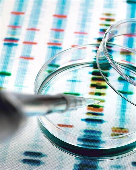 Infografic: Cum se determină sexul bebelușului (chromozomi, ecografie, teste genetice)