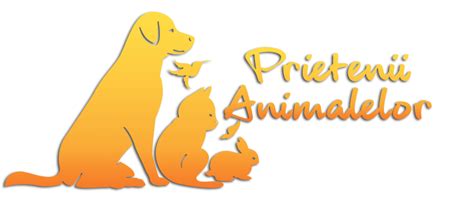 Îngrijire cățea în călduri