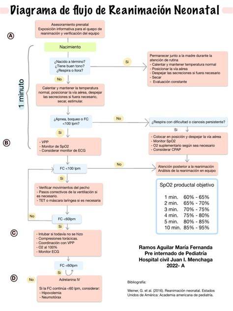 Diagrama etiologiilor convulsiilor neonatale
