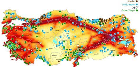Harta riscurilor și a deciziilor în managementul trombocitopeniei în sarcină