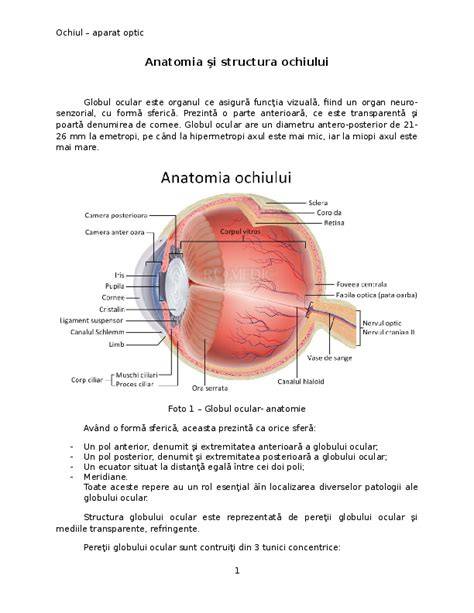 Infografic: Anatomia ochiului si hemoragia subconjunctivală