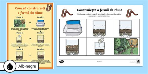 Infografic: cum să-ți construiești o maternitate DIY pentru puiii de guppy